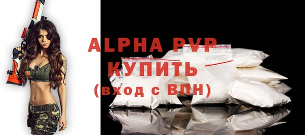 спиды Богданович