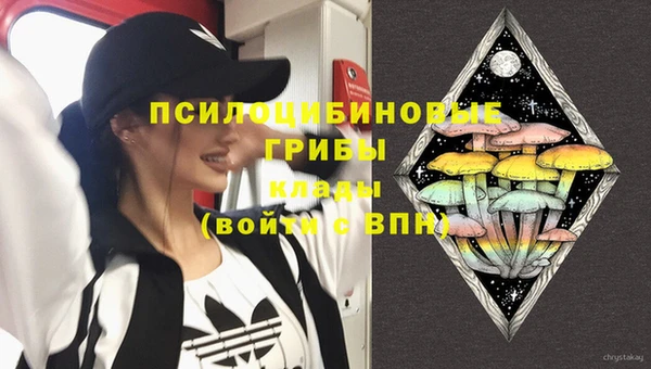 спиды Богданович