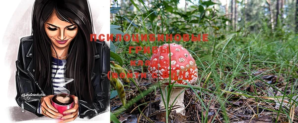 спиды Богданович