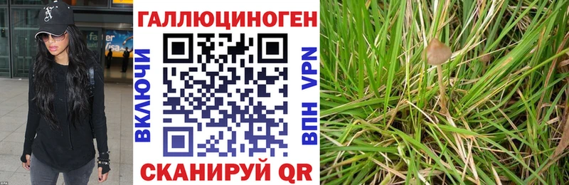 Псилоцибиновые грибы Magic Shrooms Севск